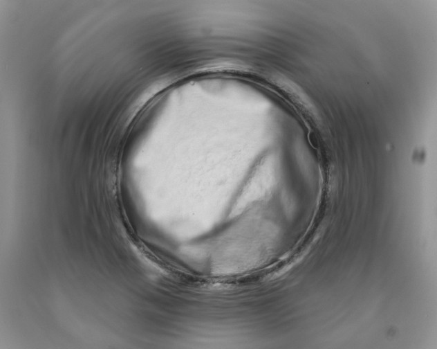 X0000091311321200709071106