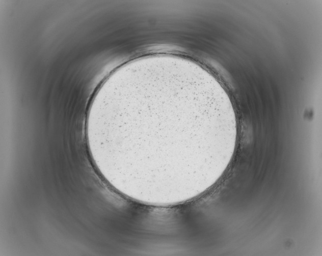 X0000091311322200709071106