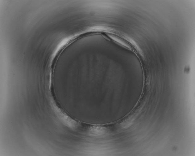 X0000091311323200709071106