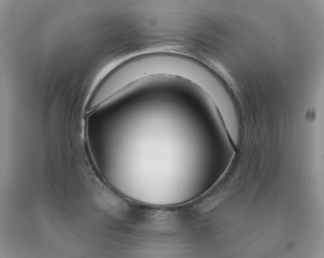 X0000091311324200709071106