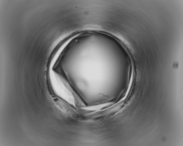 X0000091311325200709071106