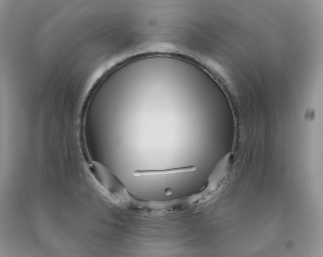 X0000091311326200709071106