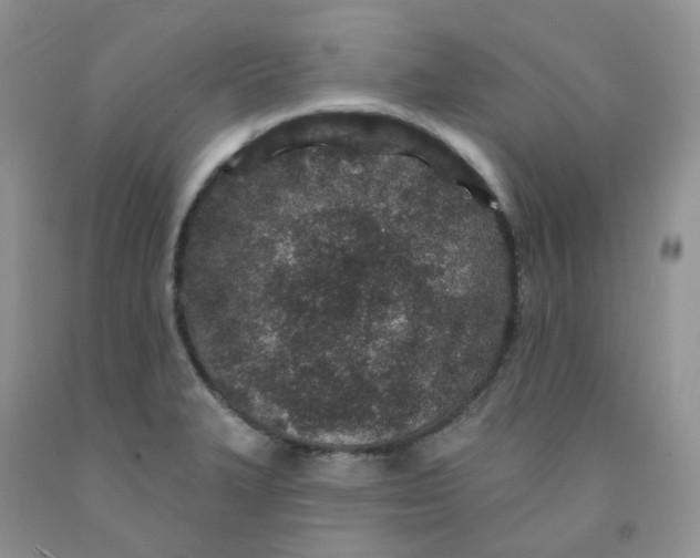 X0000091311327200709071106