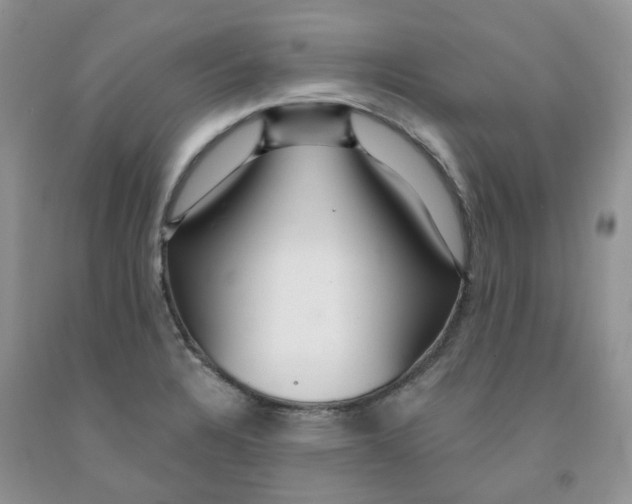 X0000091311328200709071106