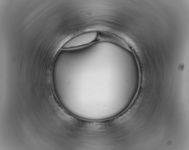 X0000091311329200709071106