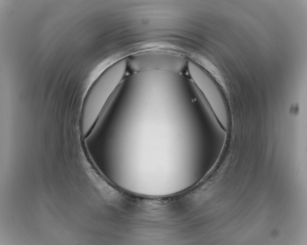 X0000091311330200709071106