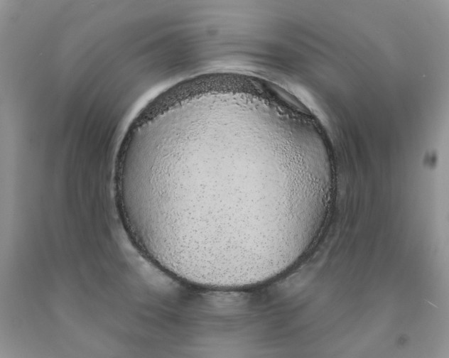 X0000091311331200709071106