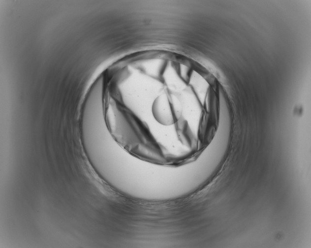 X0000091311332200709071106