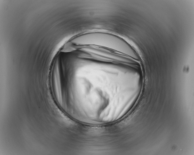 X0000091311333200709071106