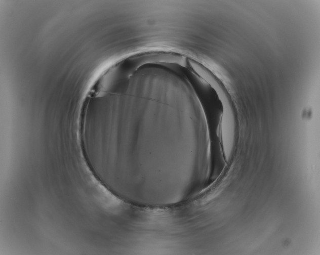 X0000091311334200709071106