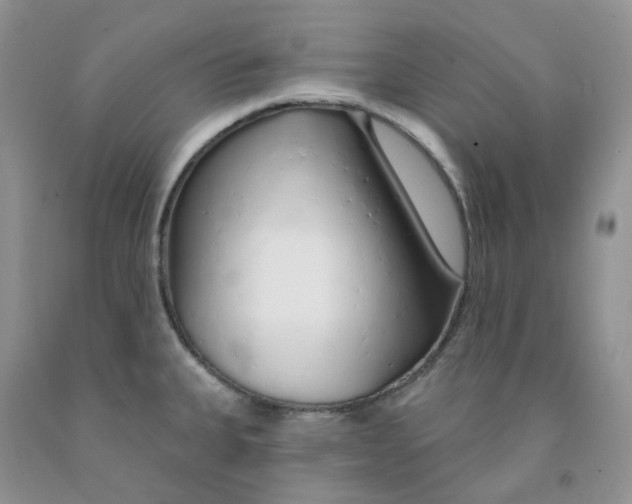 X0000091311335200709071106