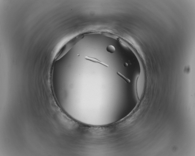 X0000091311336200709071106