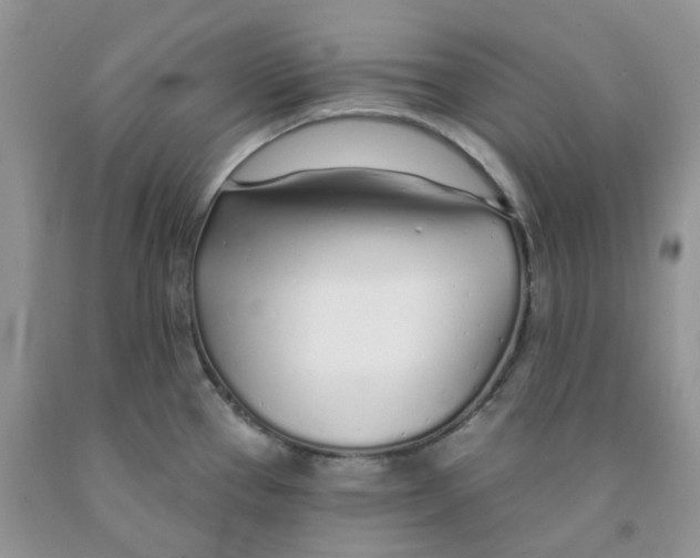 X0000091311337200709071106