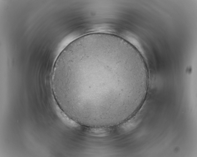 X0000091311338200709071106