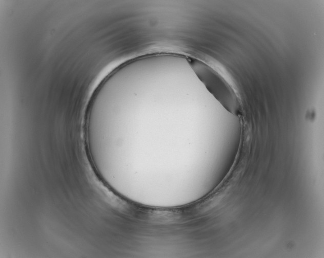 X0000091311339200709071106