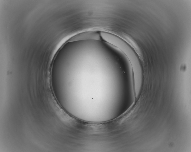 X0000091311340200709071106