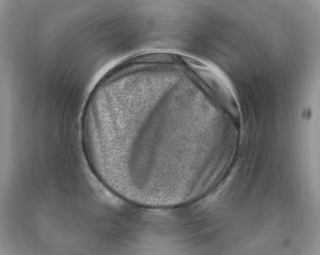 X0000091311341200709071106