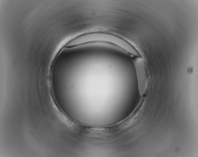 X0000091311342200709071106