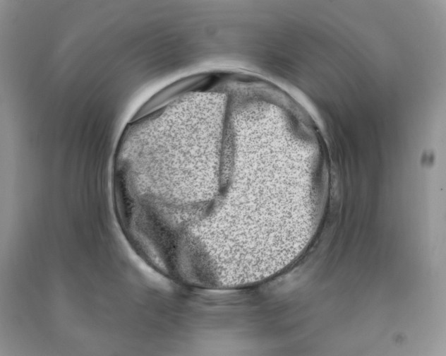 X0000091311343200709071106