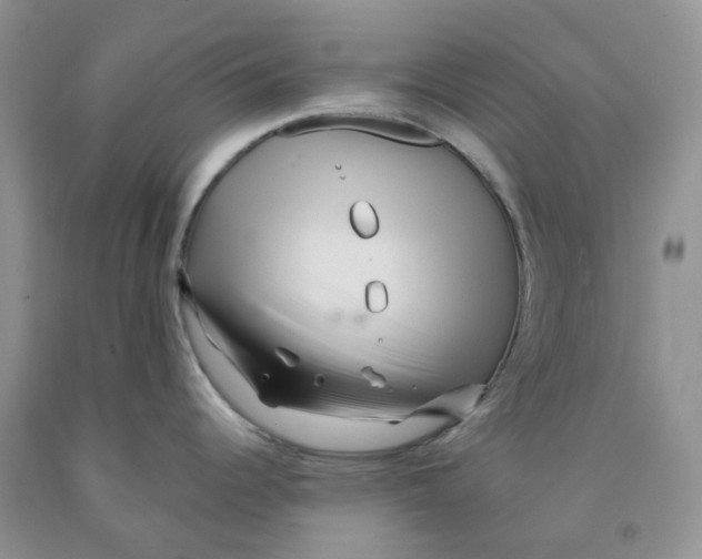 X0000091311344200709071106