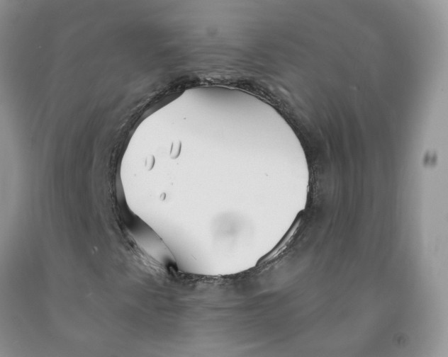 X0000091311345200709071105