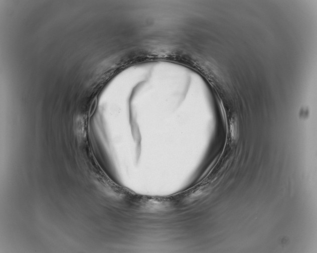 X0000091311347200709071105