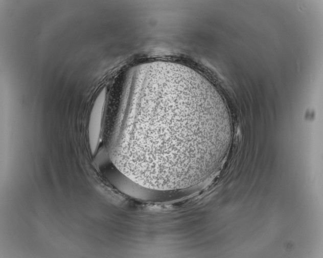 X0000091311348200709071105