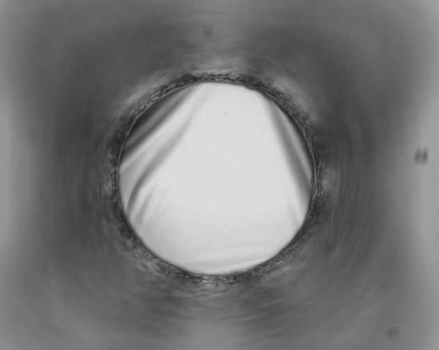 X0000091311350200709071105