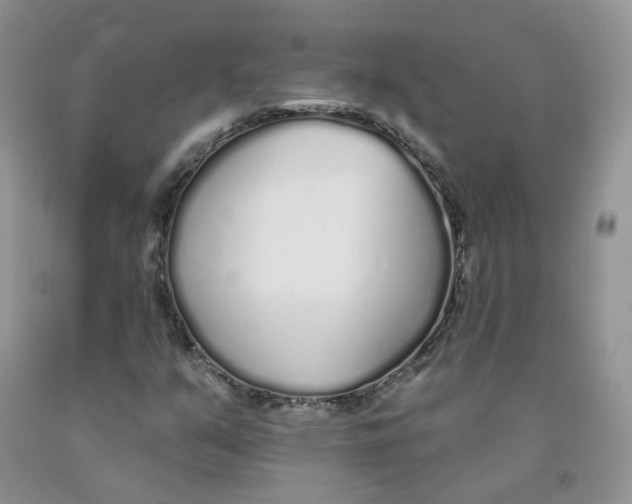 X0000091311351200709071105