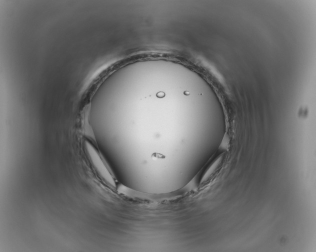 X0000091311352200709071105