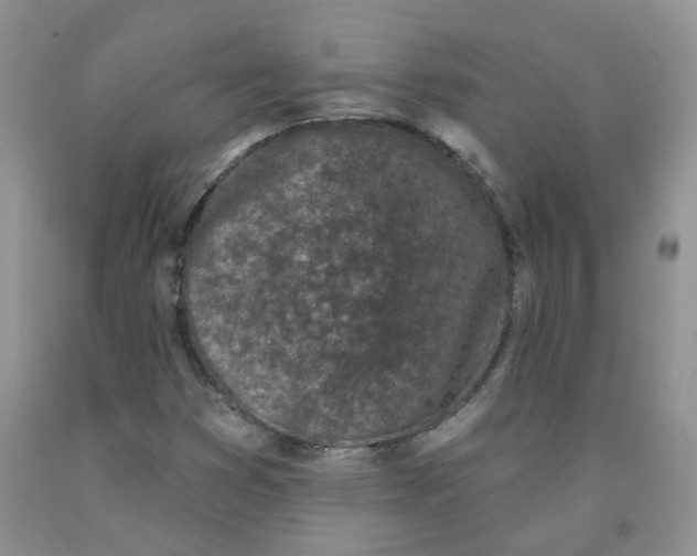 X0000091311353200709071105