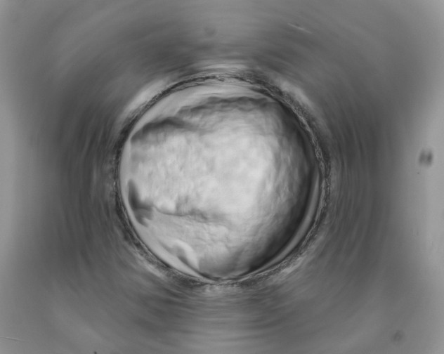 X0000091311354200709071105