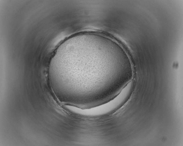 X0000091311355200709071105