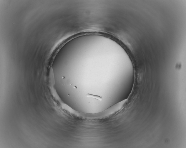 X0000091311356200709071105