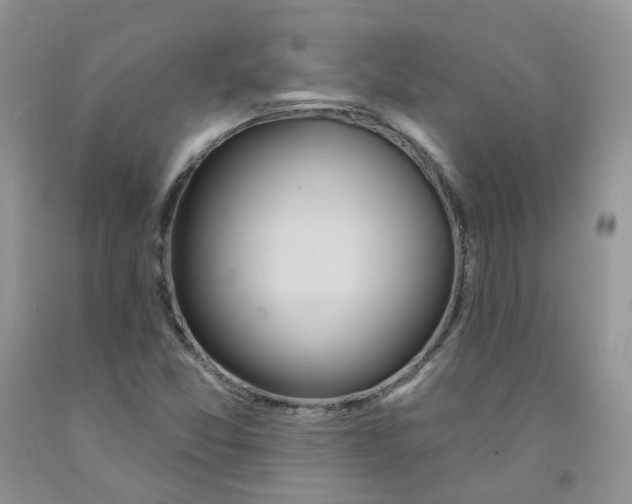 X0000091311357200709071105