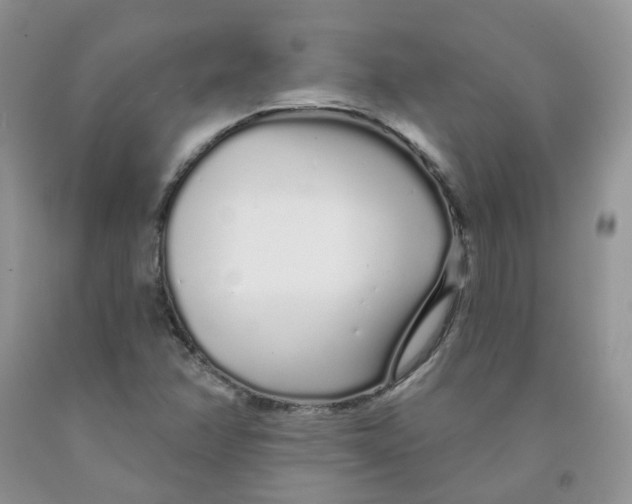 X0000091311358200709071105