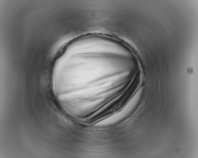 X0000091311359200709071105