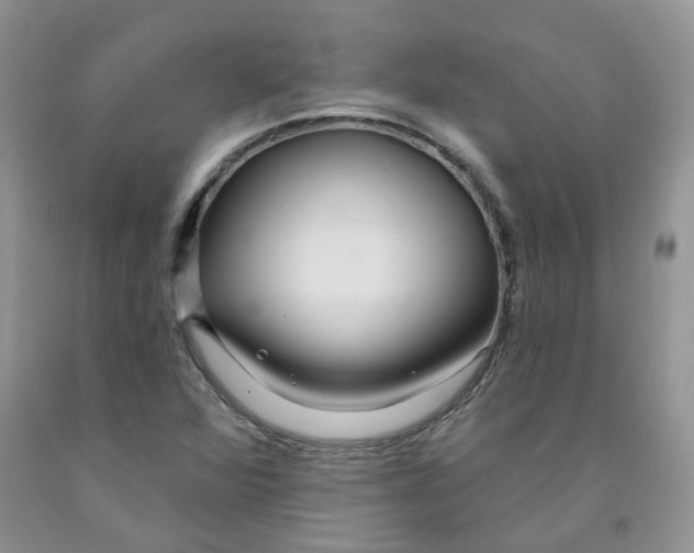 X0000091311360200709071105