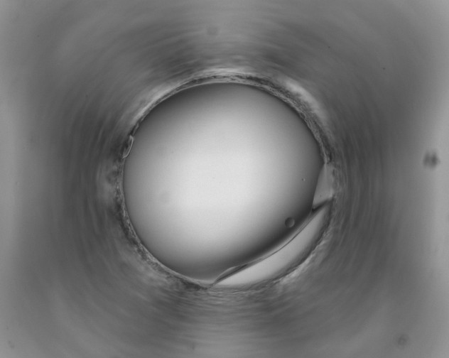 X0000091311361200709071105