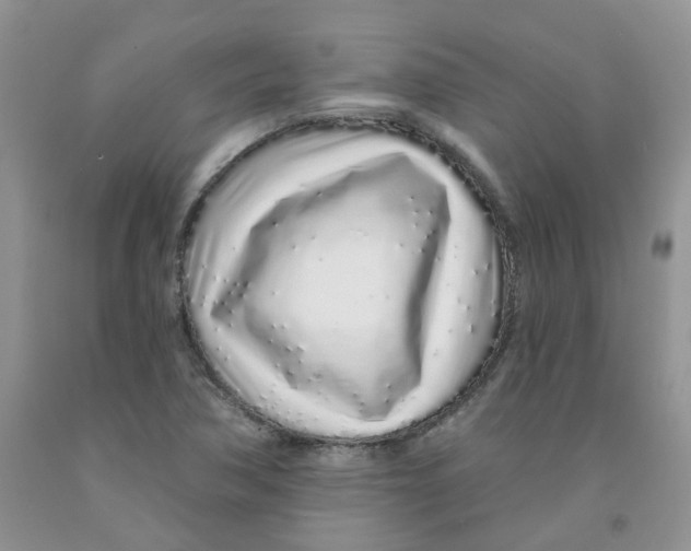 X0000091311362200709071105