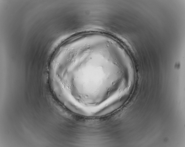 X0000091311363200709071105