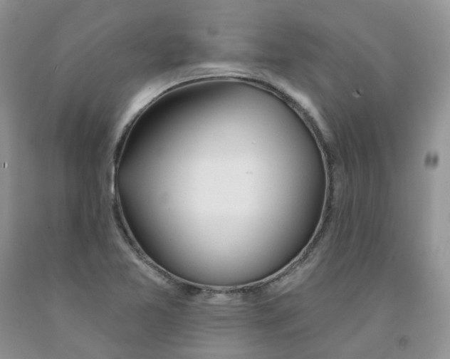 X0000091311365200709071105