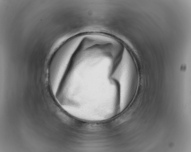 X0000091311366200709071105