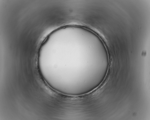 X0000091311367200709071105