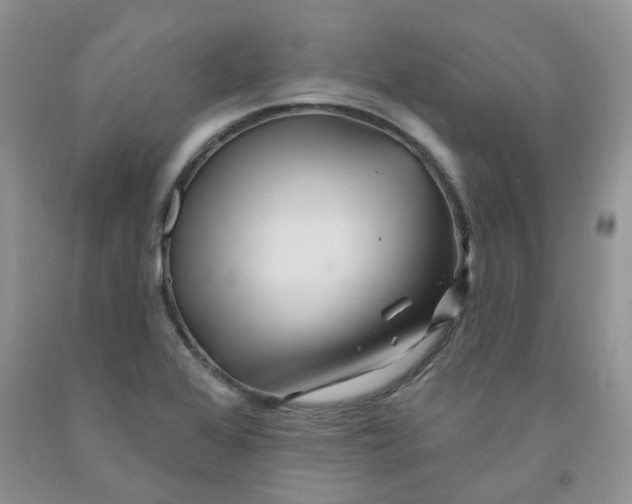 X0000091311368200709071105