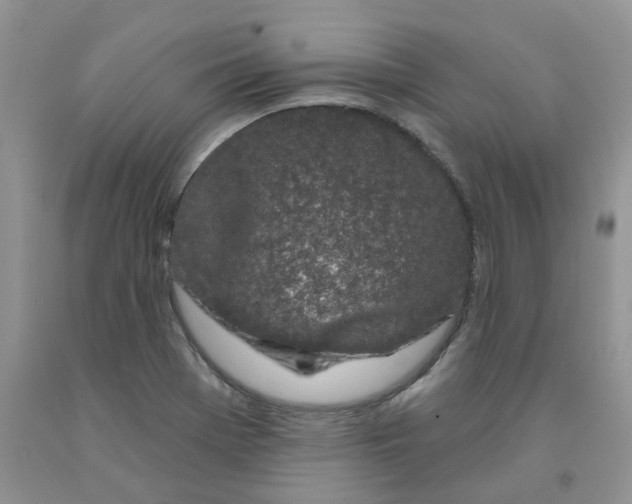 X0000091311369200709071105