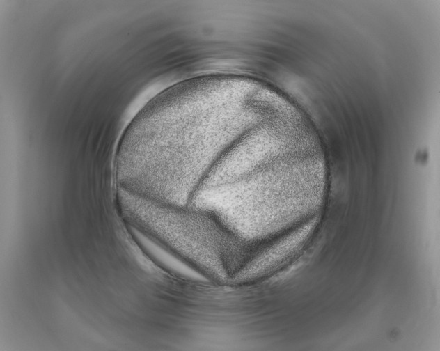 X0000091311370200709071105