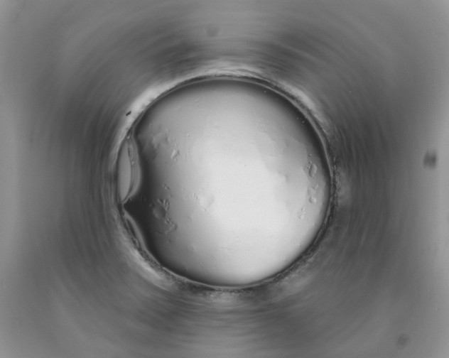 X0000091311371200709071105