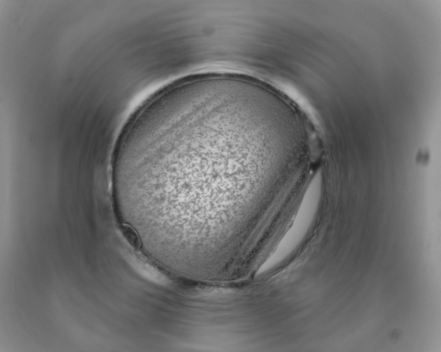 X0000091311372200709071105