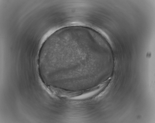 X0000091311373200709071105